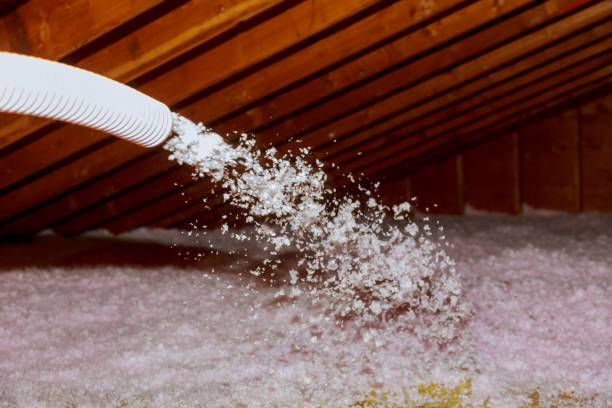 Best Best Insulation Companies  in Mauldin, SC