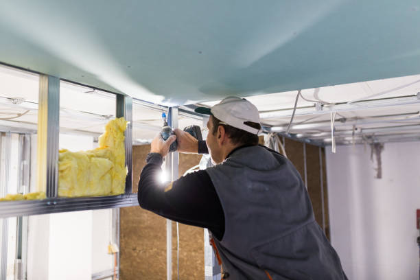 Insulation Inspection Services in Mauldin, SC