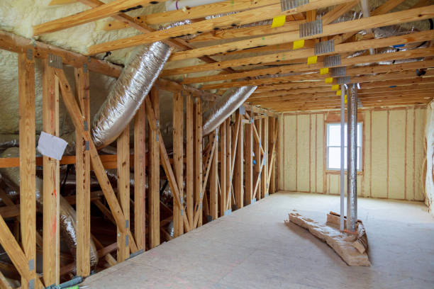 Best Insulation Removal  in Mauldin, SC