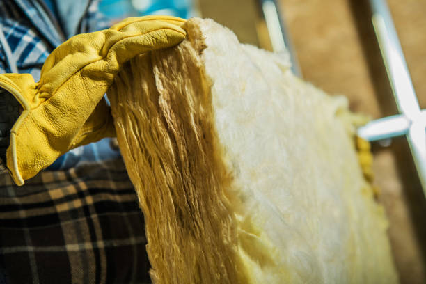 Best Insulation Removal Services  in Mauldin, SC
